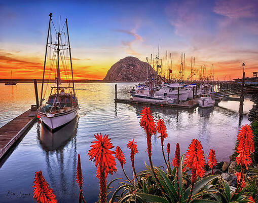 Boats at Sunset in Morro Bay Photograph