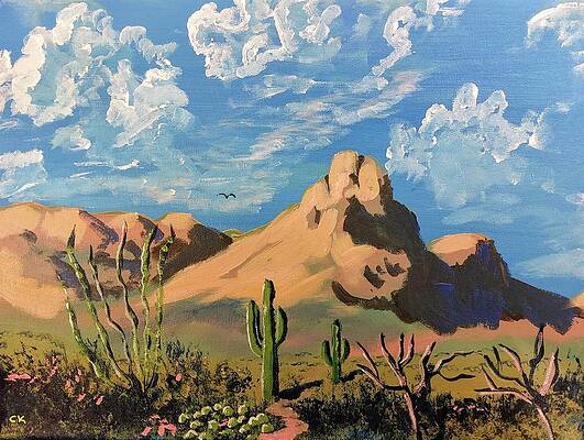 Arizona Wall Art for Sale by Chance Kafka