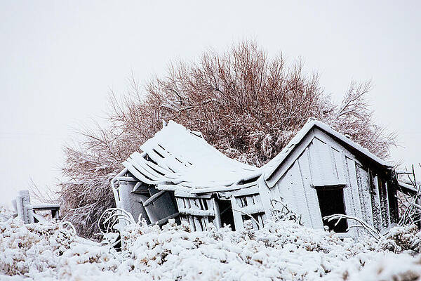 Rustic Wall Art featuring the photograph Sagging With Age by Mike Lee