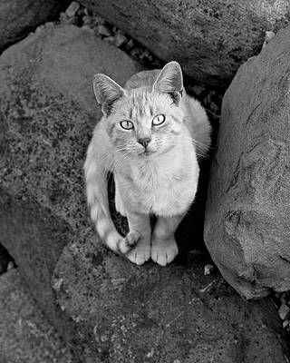 Black And White Photograph - Saide by Gina Cinardo