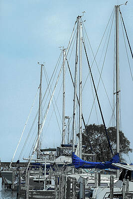 Michigan Photograph - Sail Boat Blues by Vi Ray
