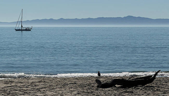 Sailboat on a Tranquil Sea by Barbara Siegel