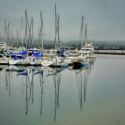 Sailboats on a Calm Harbor Photograph