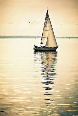 Serene Photograph - Sailing On Lake Constance, Germany by Tatiana Travelways