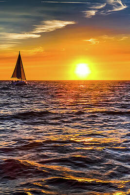 Nature Wall Art featuring the photograph Sailing On Monterey Bay California by Tommy Farnsworth
