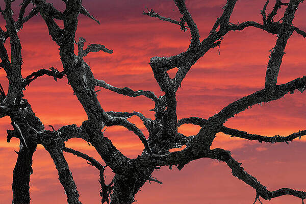 Sky Photograph - Sailors Delight by Theresa D Williams Smoky Mountains