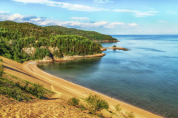Yellow Wall Art featuring the photograph Saint Lawrence River Bank by Elvira Peretsman