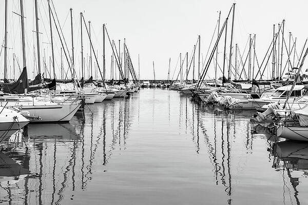 Wall Art featuring the photograph Saint Tropez Marina, France - Black And White by Tatiana Travelways