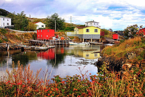 Serene Photograph - Salvage Village Newfoundland 3 by Tatiana Travelways