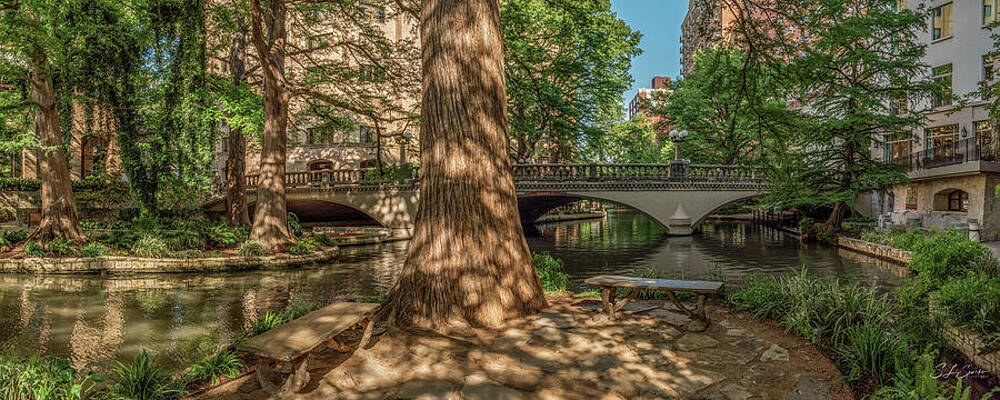 Photograph - San Antonio Riverwalk Marriage Island by Steven Sparks