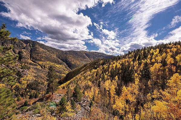 Photograph - San Juan Mountains Backcountry by Matt Halvorson