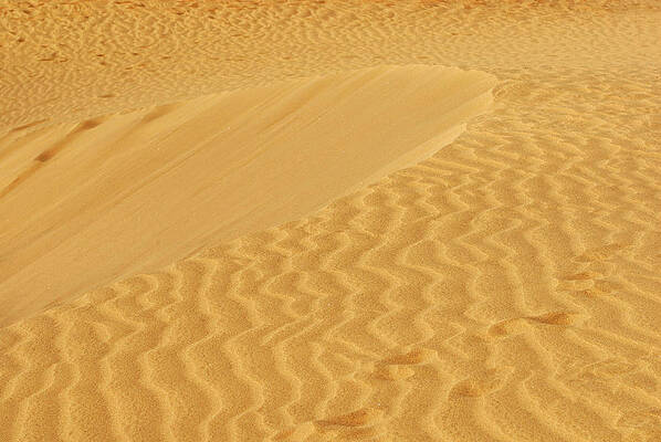 Landscape Wall Art featuring the photograph Sand Dunes Texture by Severija Kirilovaite