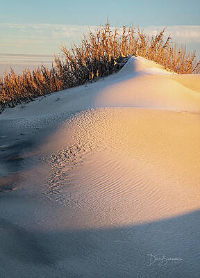 Abstract Photograph - Sand On Snow On Sand #8309 by Dan Beauvais