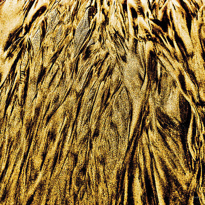 Abstract Photograph - Sand Pattern #3 by Bruce Block
