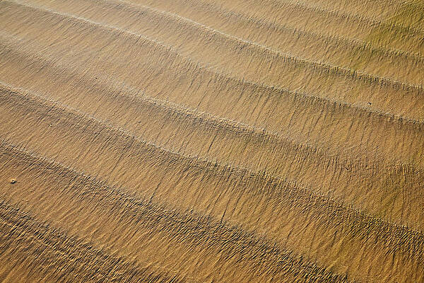 Wall Art featuring the photograph Sand Stories 3 by Nicholas Blackwell