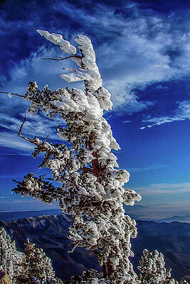 Sandia Crest Albuquerque New Mexico by Tommy Farnsworth