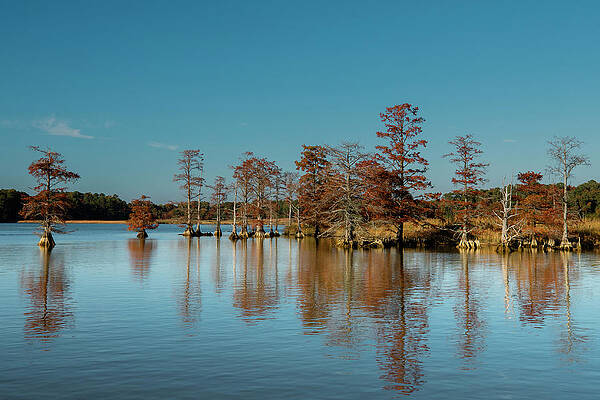 Virginia Photograph - Sandy Bay by David Fountain