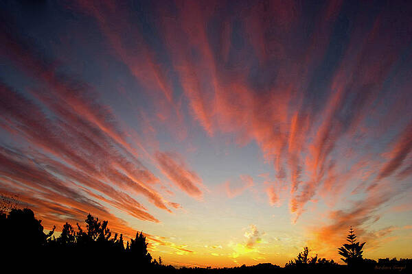 Sunset Photograph - Santa Barbara Sunset by Barbara Siegel