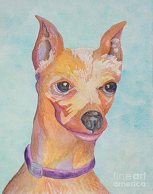 Painting - Sassy Minipin by Angela J Murray