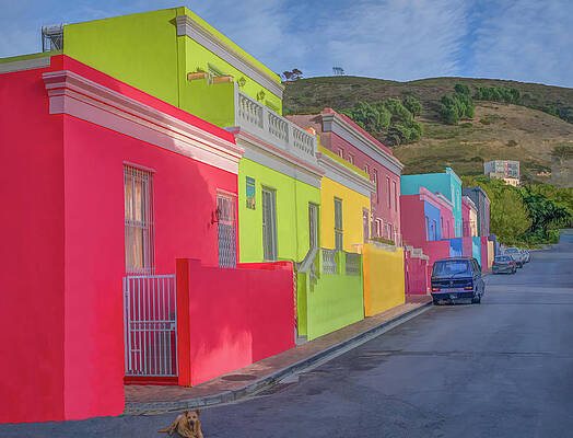 Vibrant Wall Art featuring the photograph Saturday Morning In Cape Town by Marcy Wielfaert