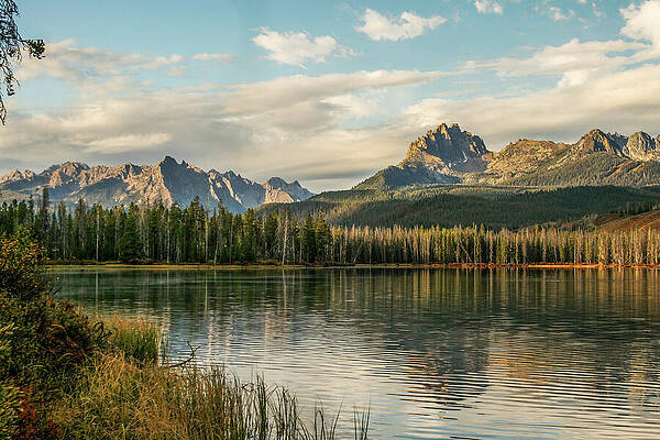 Tree Wall Art featuring the photograph Sawtooth Mountains by Diane Moller