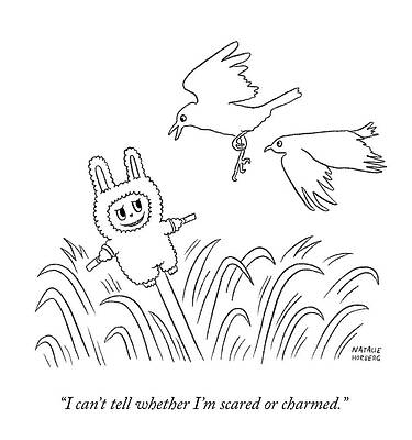 Stuffed Animal Wall Art featuring the drawing Scared Or Charmed by Natalie Horberg