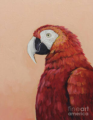 Wall Art featuring the painting Scarlet The Parrot by Lucia Stewart