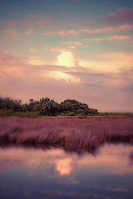 Serene Wall Art featuring the photograph Scene 219E by Sally Fuller