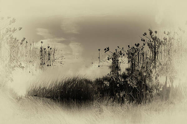 Wall Art featuring the photograph Scene 233B by Sally Fuller