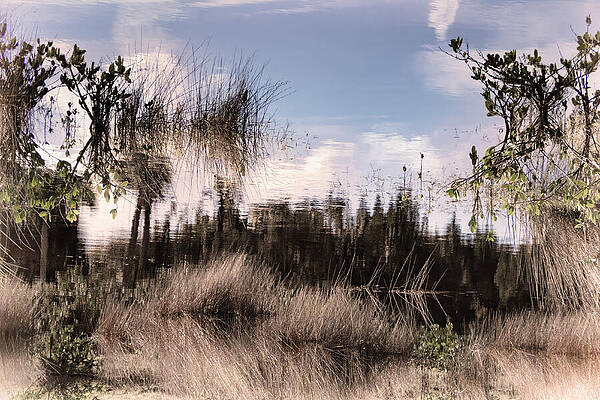 Serene Wall Art featuring the photograph Scene 236A by Sally Fuller