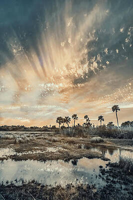 Sky Wall Art featuring the photograph Scene 249D by Sally Fuller