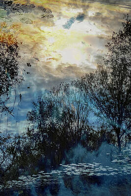 Wall Art featuring the photograph Scene 255B by Sally Fuller