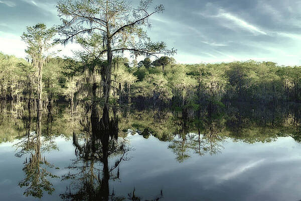 Sky Wall Art featuring the photograph Scene 343B by Sally Fuller