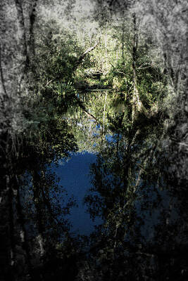 Wall Art featuring the photograph Scene 36A ILLUSION by Sally Fuller