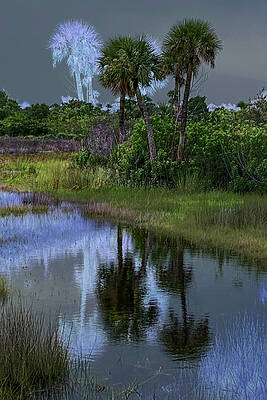 Wall Art featuring the photograph SCENE 53c by Sally Fuller