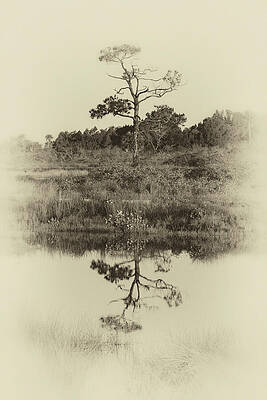 Wall Art featuring the photograph Scene 585A by Sally Fuller