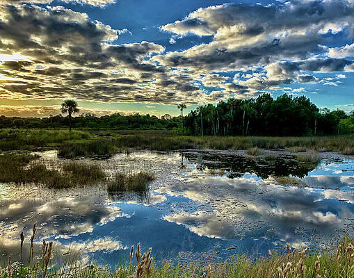 Sky Wall Art featuring the photograph Scene 90d by Sally Fuller