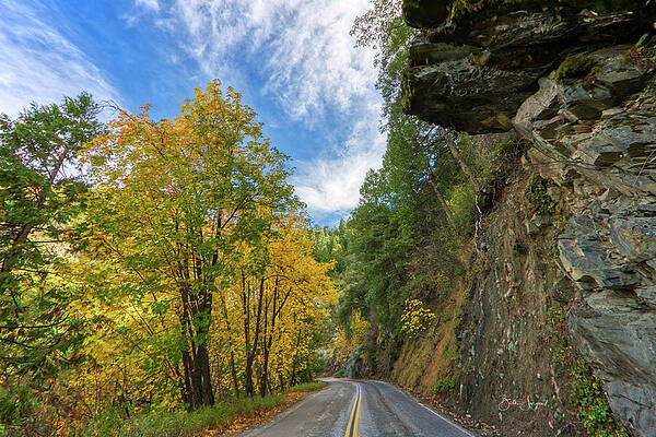 Scenic Mountain Road in Autumn Wall Art