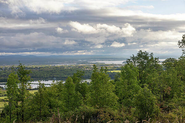 Forest Overlook with Cloudy Sky Photograph