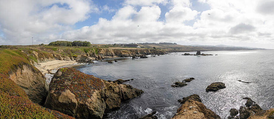 California Photograph - Scenic View From Pigeon Point Light Station 3 by John Twynam