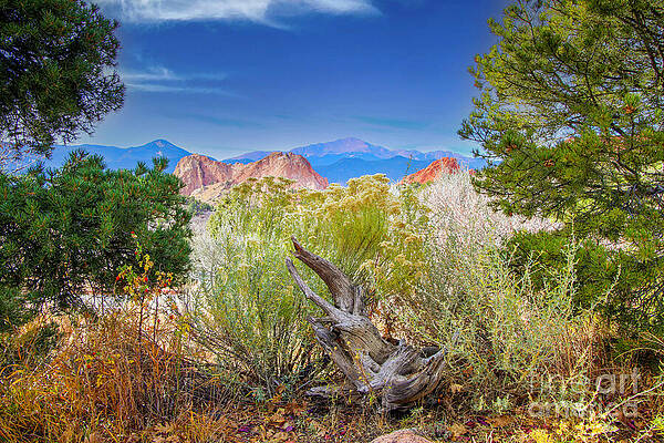 Scenic View of Mountain Range by Shirley Dutchkowski