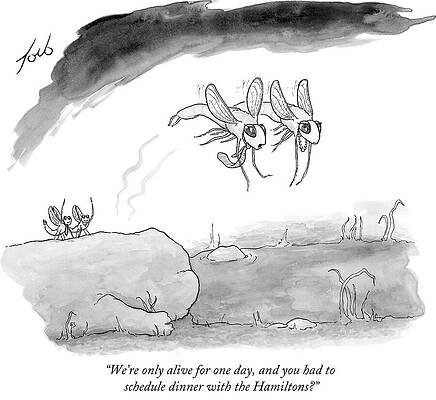 Bee Wall Art featuring the drawing Scheduling Dinner by Tom Toro