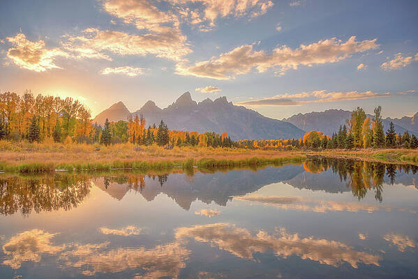 Darren White Grand Teton National Park Wall Art