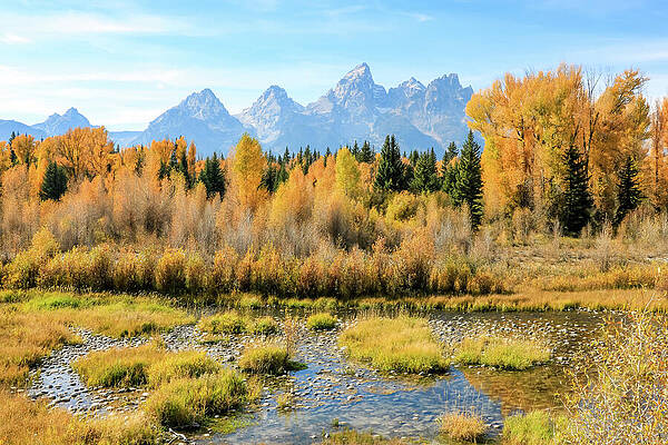 Fall Wall Art featuring the photograph Schwabacher Landing 3 by Dawn Richards