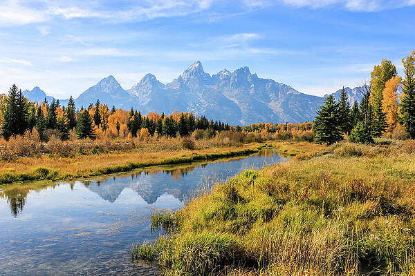 Fall Wall Art featuring the photograph Schwabacher Landing by Dawn Richards