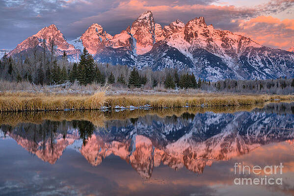 Wall Art featuring the photograph Schwabacher Landing Pink Autumn Sunrise by Adam Jewell