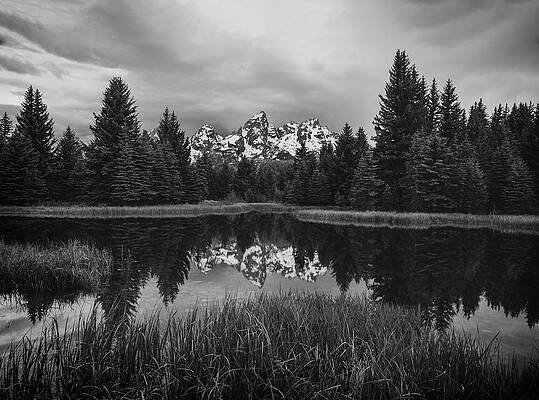 Wall Art featuring the photograph Schwabachers Reflection Black And White by Dan Sproul