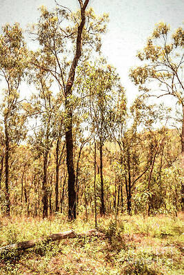 Country Painting - Scrub Hills Before Valleys by Jorgo Photography
