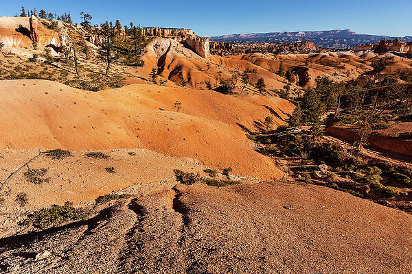 Rock Wall Art featuring the photograph Sculpted Ground by Craig A Walker