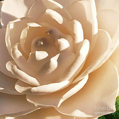 Wall Art featuring the photograph Sea Foam Sensation by Rick Locke - Out of the Corner of My Eye